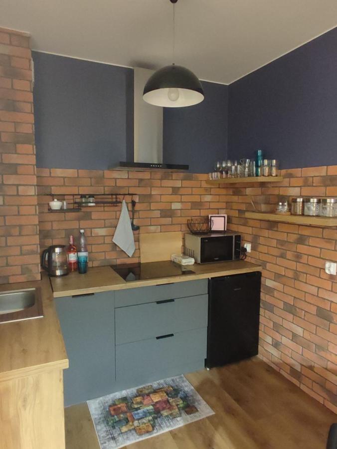 Lux Apartament Odkryj - Bieszczady Ustrzyki Dolne Extérieur photo