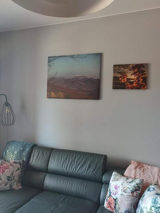Lux Apartament Odkryj - Bieszczady Ustrzyki Dolne Extérieur photo